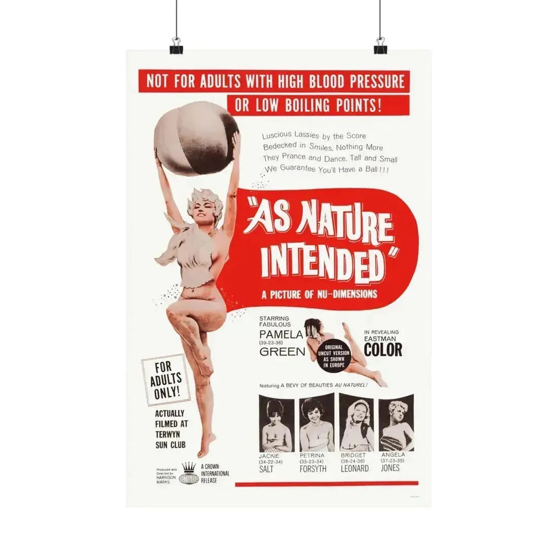 NAKED AS NATURE INTENDED 1961 - Paper Movie Poster 16″ x 24″ Matte - The Sticker Space