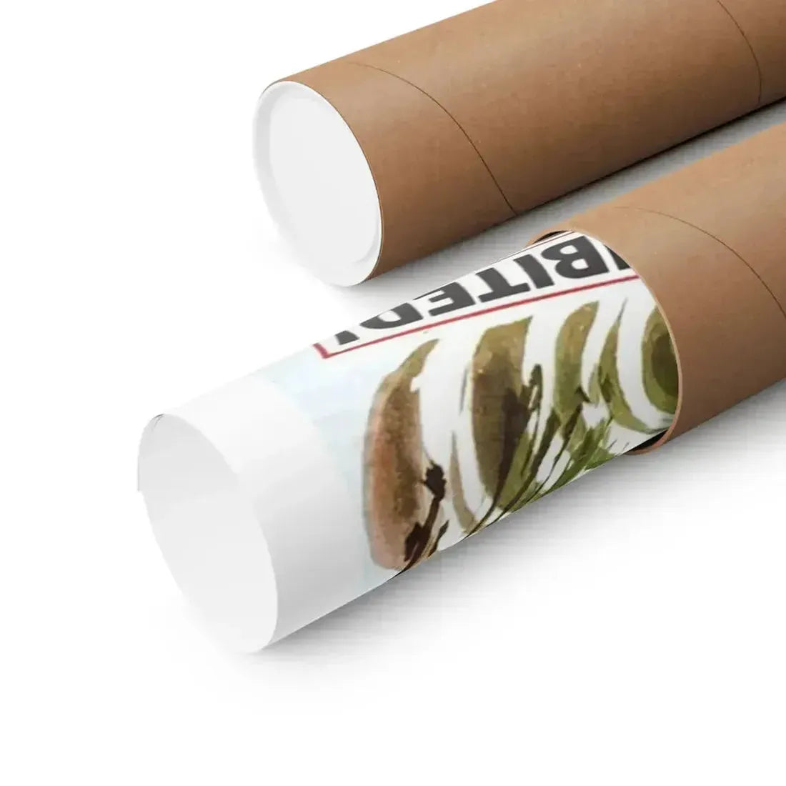 NAKED ISLAND 1960 - Paper Movie Poster - The Sticker Space