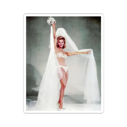 Nancy Kovack #22 (Vintage Female Icon) STICKER Vinyl Kiss-Cut Decal 2 Inch White - The Sticker Space