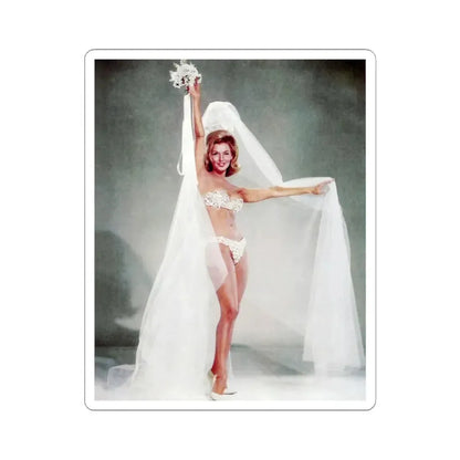 Nancy Kovack #22 (Vintage Female Icon) STICKER Vinyl Kiss-Cut Decal 6 Inch White - The Sticker Space