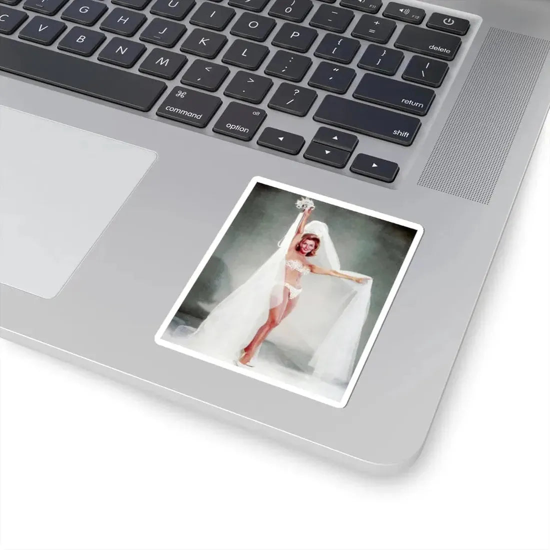 Nancy Kovack #22 (Vintage Female Icon) STICKER Vinyl Kiss-Cut Decal - The Sticker Space