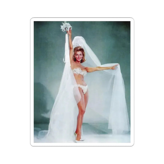 Nancy Kovack #221 (Vintage Female Icon) STICKER Vinyl Kiss-Cut Decal 2 Inch White - The Sticker Space