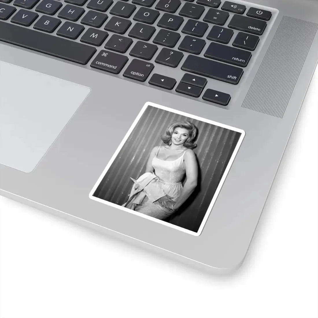 Nancy Kovack #32 (Vintage Female Icon) STICKER Vinyl Kiss-Cut Decal - The Sticker Space