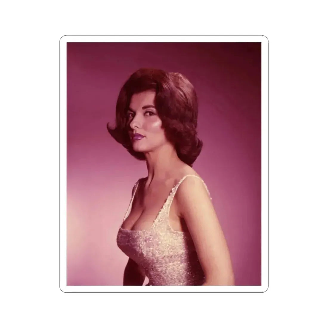 Nancy Kovack #43 (Vintage Female Icon) STICKER Vinyl Kiss-Cut Decal 2 Inch White - The Sticker Space