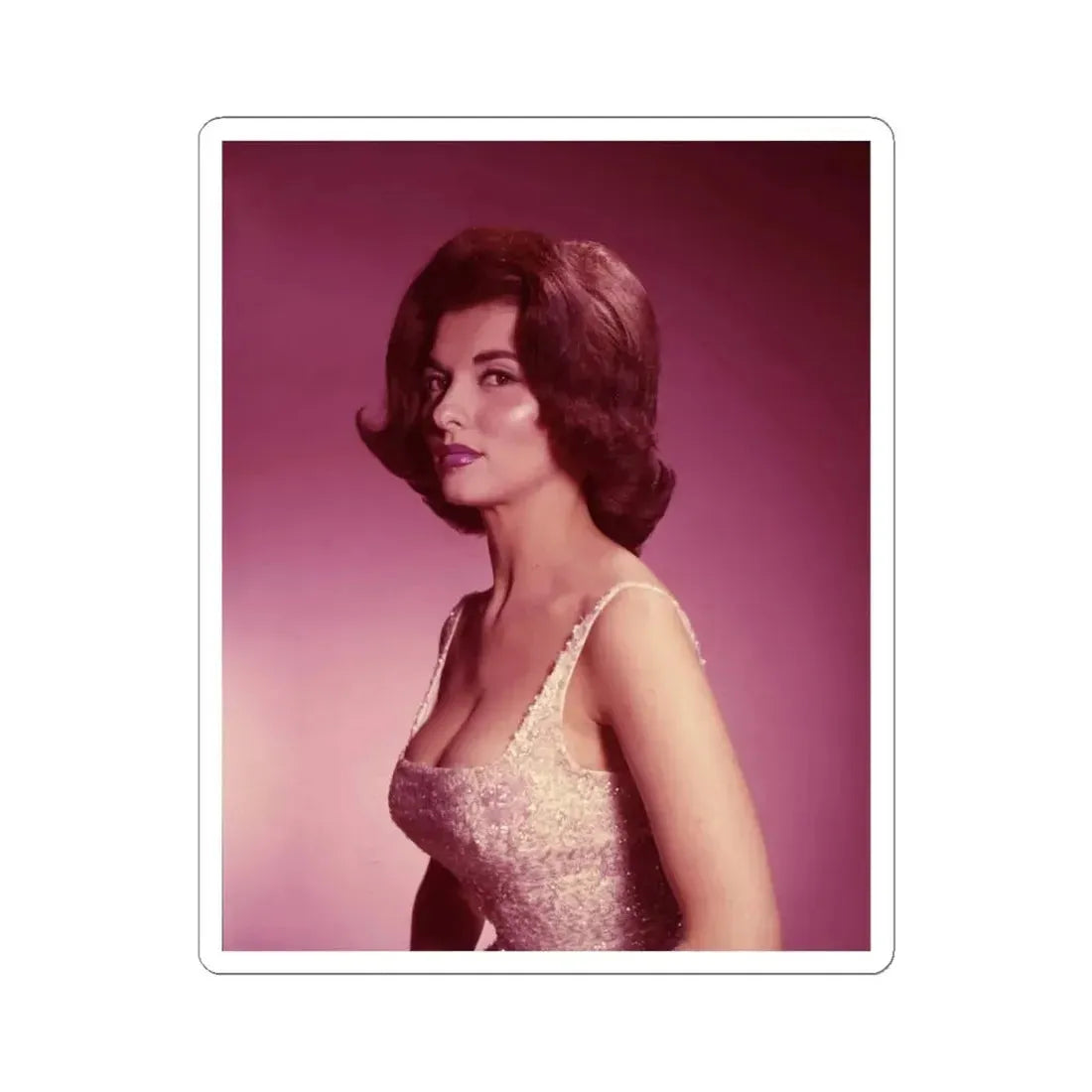 Nancy Kovack #43 (Vintage Female Icon) STICKER Vinyl Kiss-Cut Decal 4 Inch White - The Sticker Space