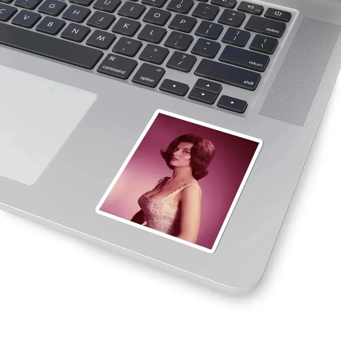 Nancy Kovack #43 (Vintage Female Icon) STICKER Vinyl Kiss-Cut Decal - The Sticker Space