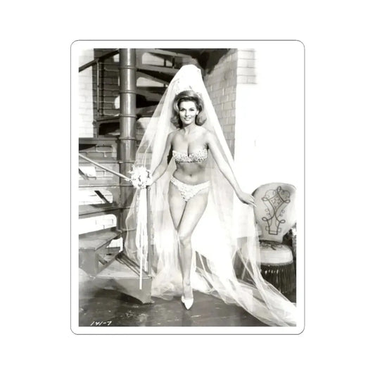 Nancy Kovack #56 (Vintage Female Icon) STICKER Vinyl Kiss-Cut Decal 2 Inch White - The Sticker Space