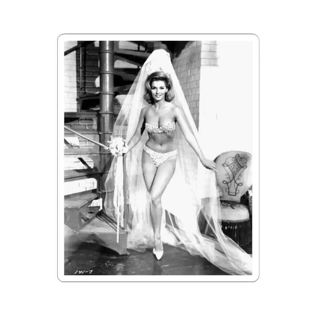 Nancy Kovack #641 (Vintage Female Icon) STICKER Vinyl Kiss-Cut Decal 2 Inch White - The Sticker Space