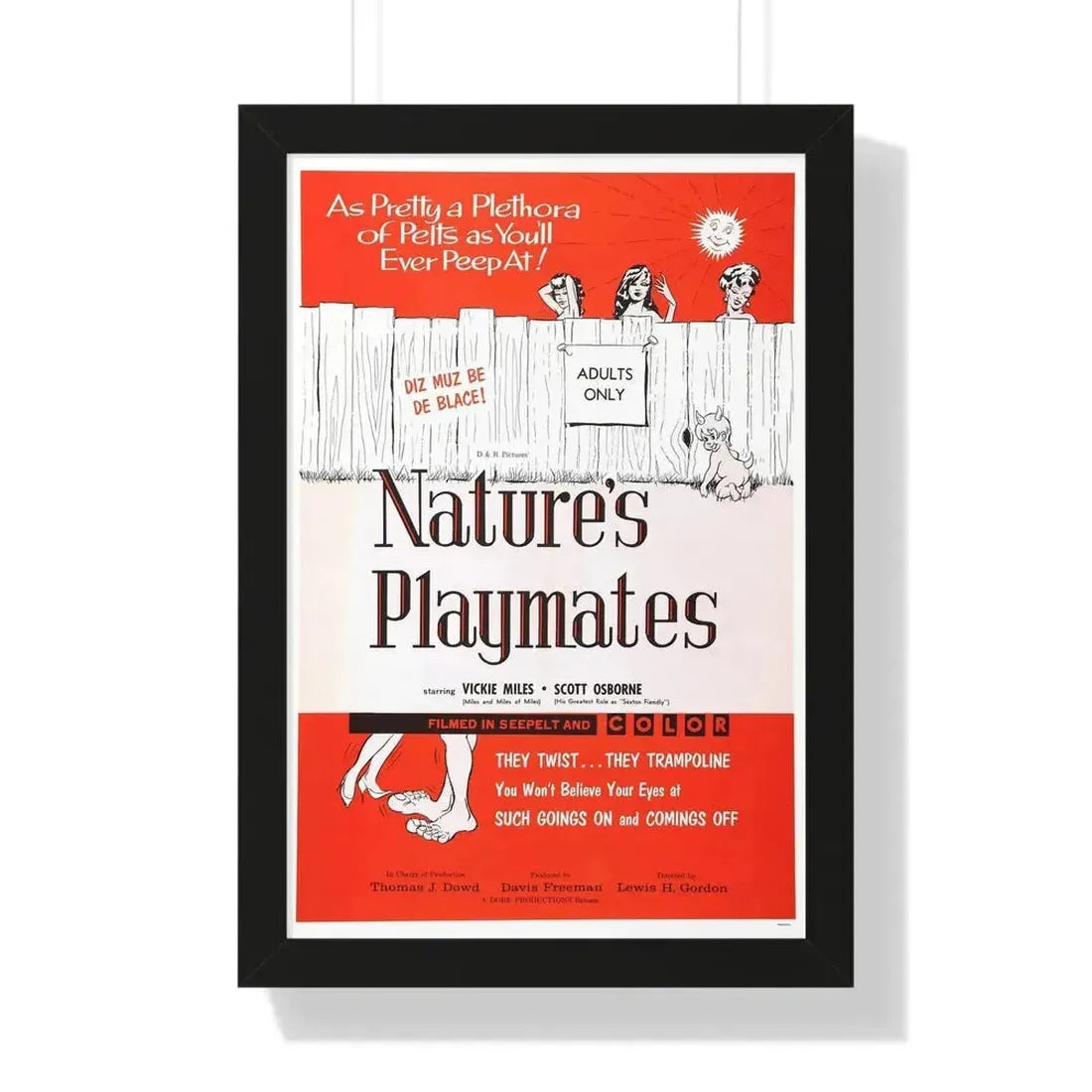 NATURE'S PLAYMATES 1962 - Framed Movie Poster 16″ x 24″ Black - The Sticker Space