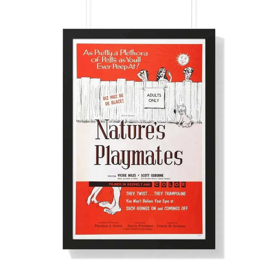 NATURE'S PLAYMATES 1962 - Framed Movie Poster 20" x 30" Black - The Sticker Space
