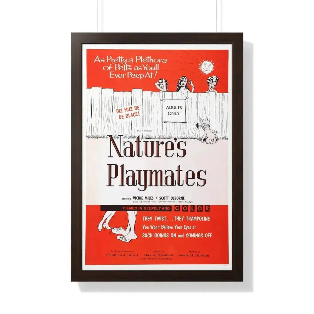 NATURE'S PLAYMATES 1962 - Framed Movie Poster 20" x 30" Walnut - The Sticker Space
