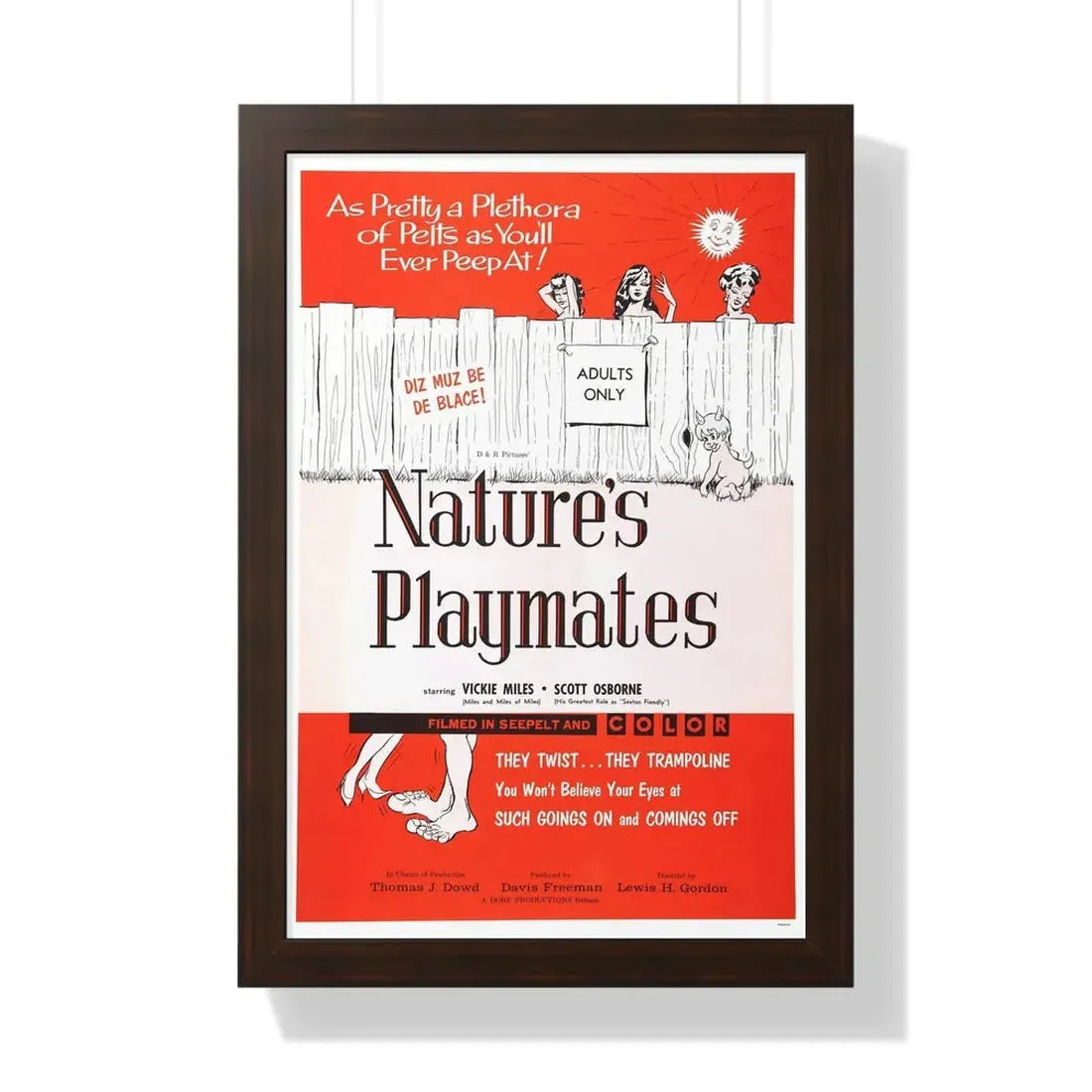 NATURE'S PLAYMATES 1962 - Framed Movie Poster - The Sticker Space