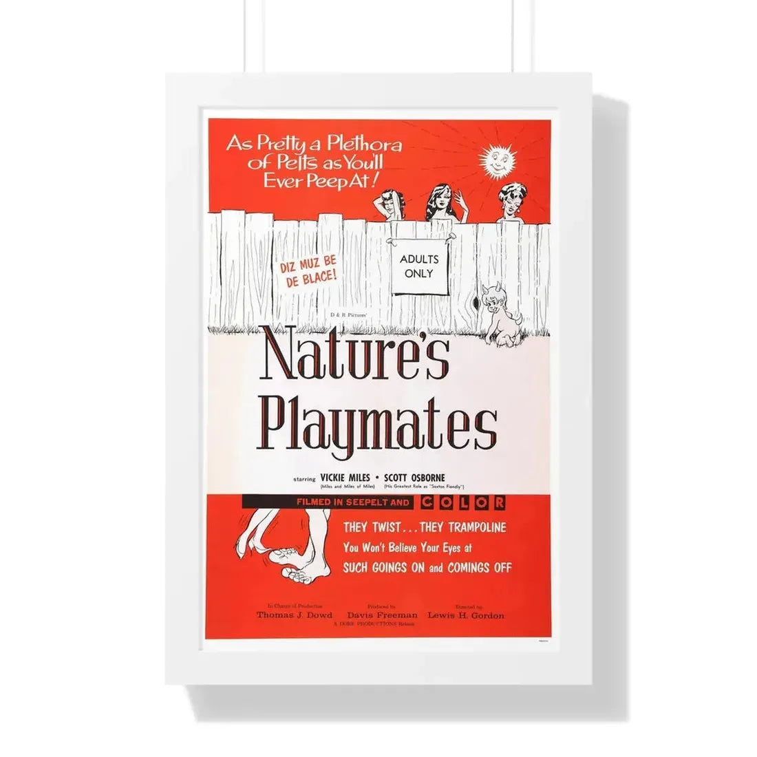 NATURE'S PLAYMATES 1962 - Framed Movie Poster - The Sticker Space