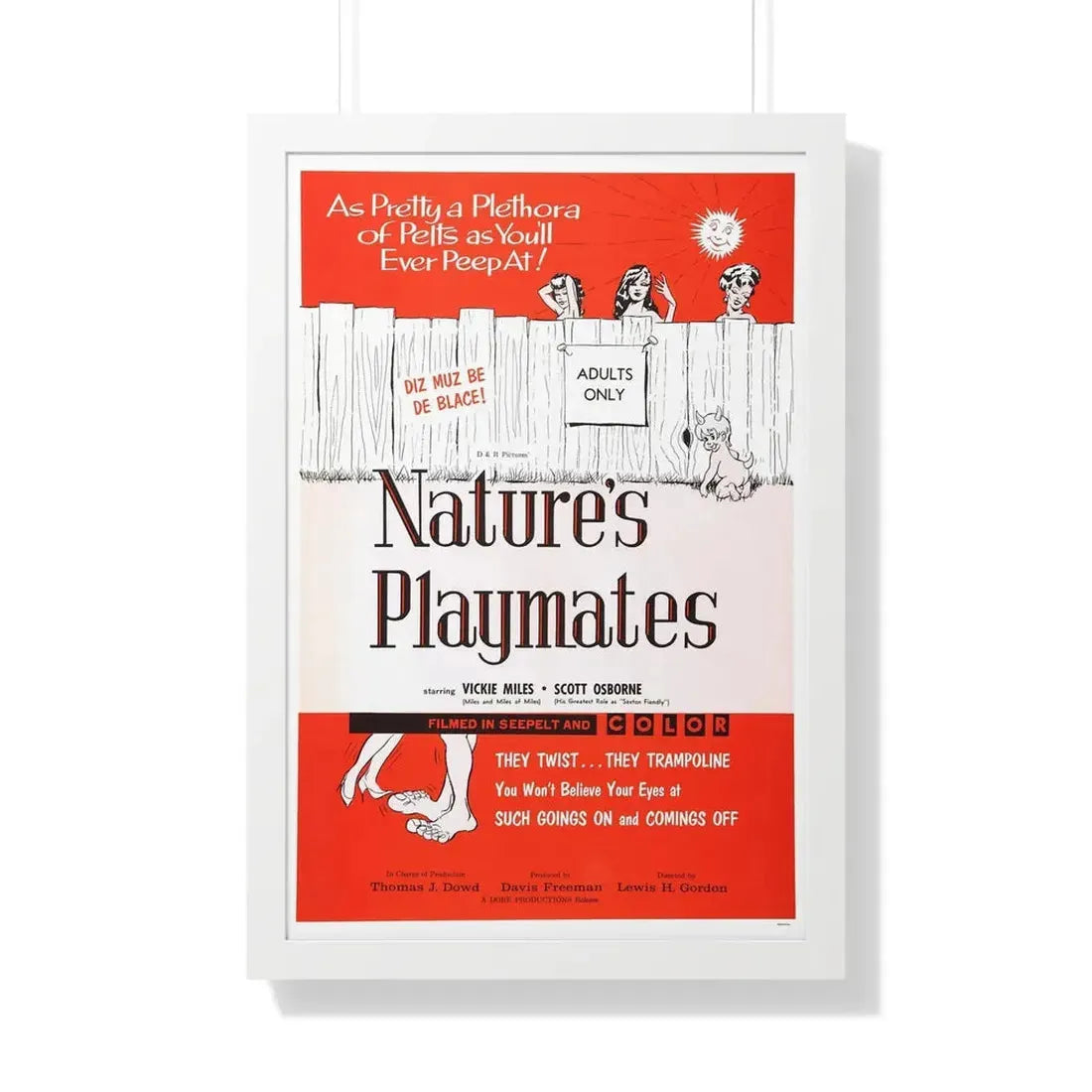 NATURE'S PLAYMATES 1962 - Framed Movie Poster - The Sticker Space