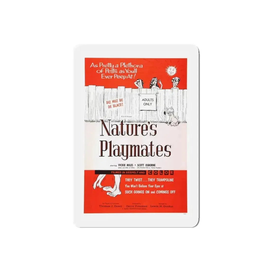 NATURE'S PLAYMATES 1962 Movie Poster - Refrigerator Magnet 5 Inch Die-Cut - The Sticker Space