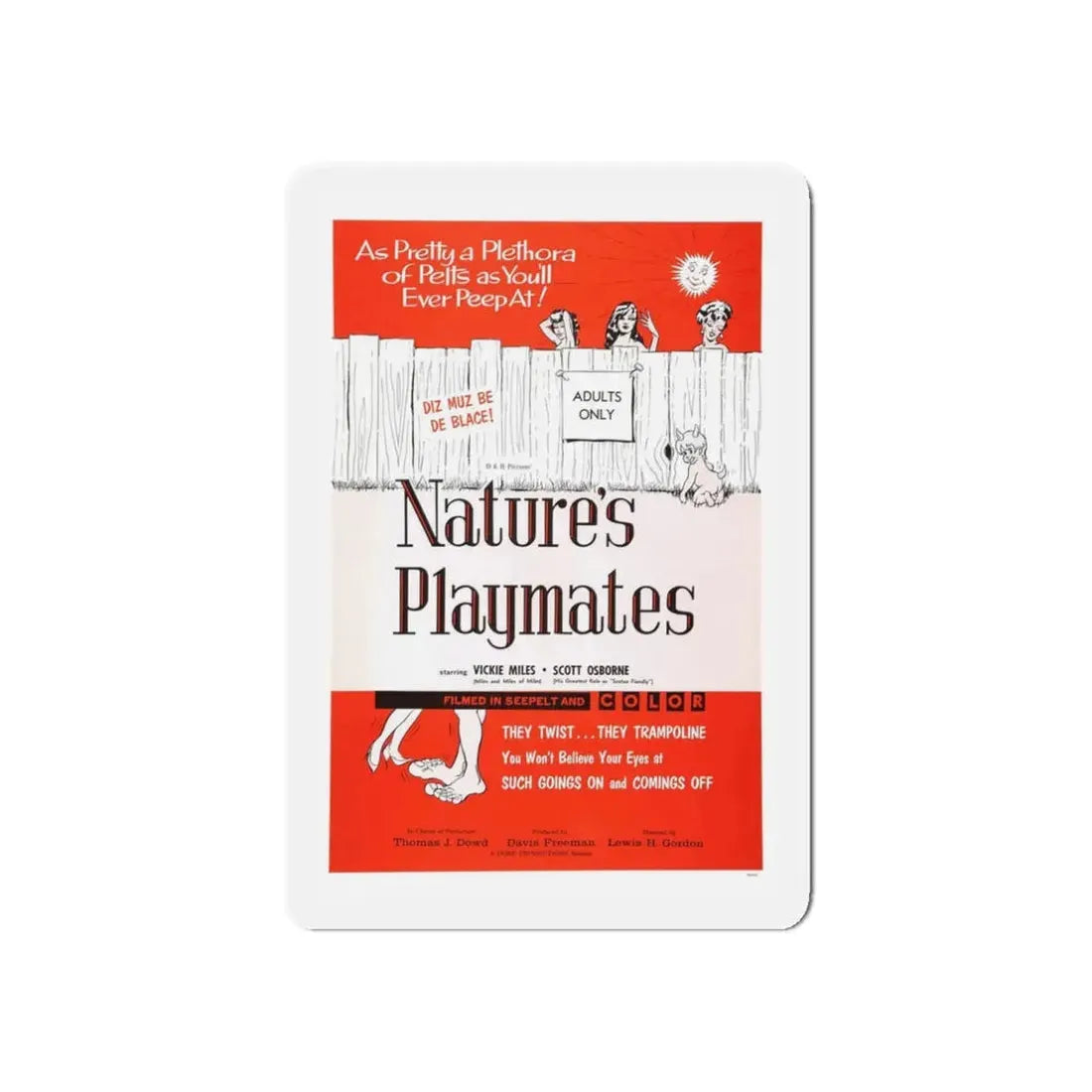 NATURE'S PLAYMATES 1962 Movie Poster - Refrigerator Magnet - The Sticker Space