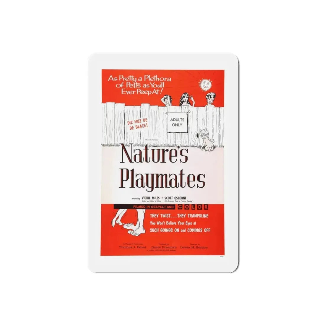 NATURE'S PLAYMATES 1962 Movie Poster - Refrigerator Magnet - The Sticker Space