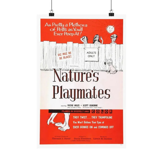 NATURE'S PLAYMATES 1962 - Paper Movie Poster 12″ x 18″ Matte - The Sticker Space