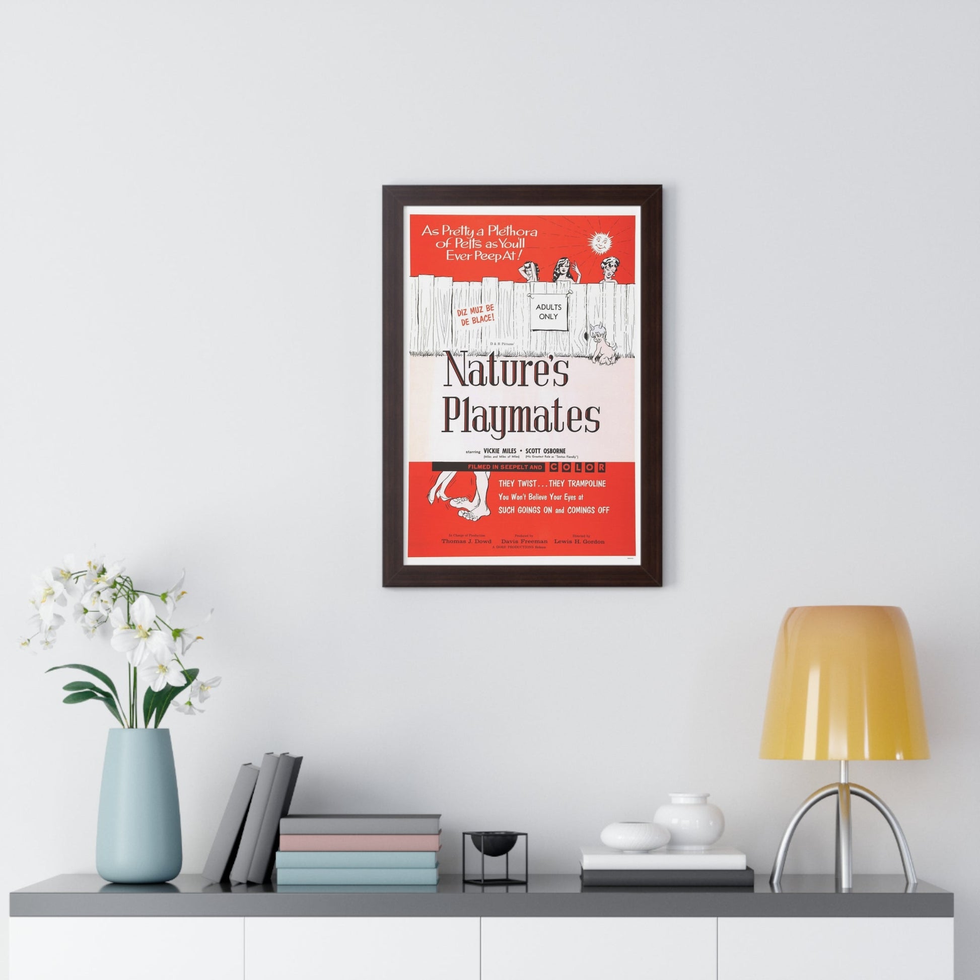 NATURE'S PLAYMATES 1962 - Framed Movie Poster-The Sticker Space