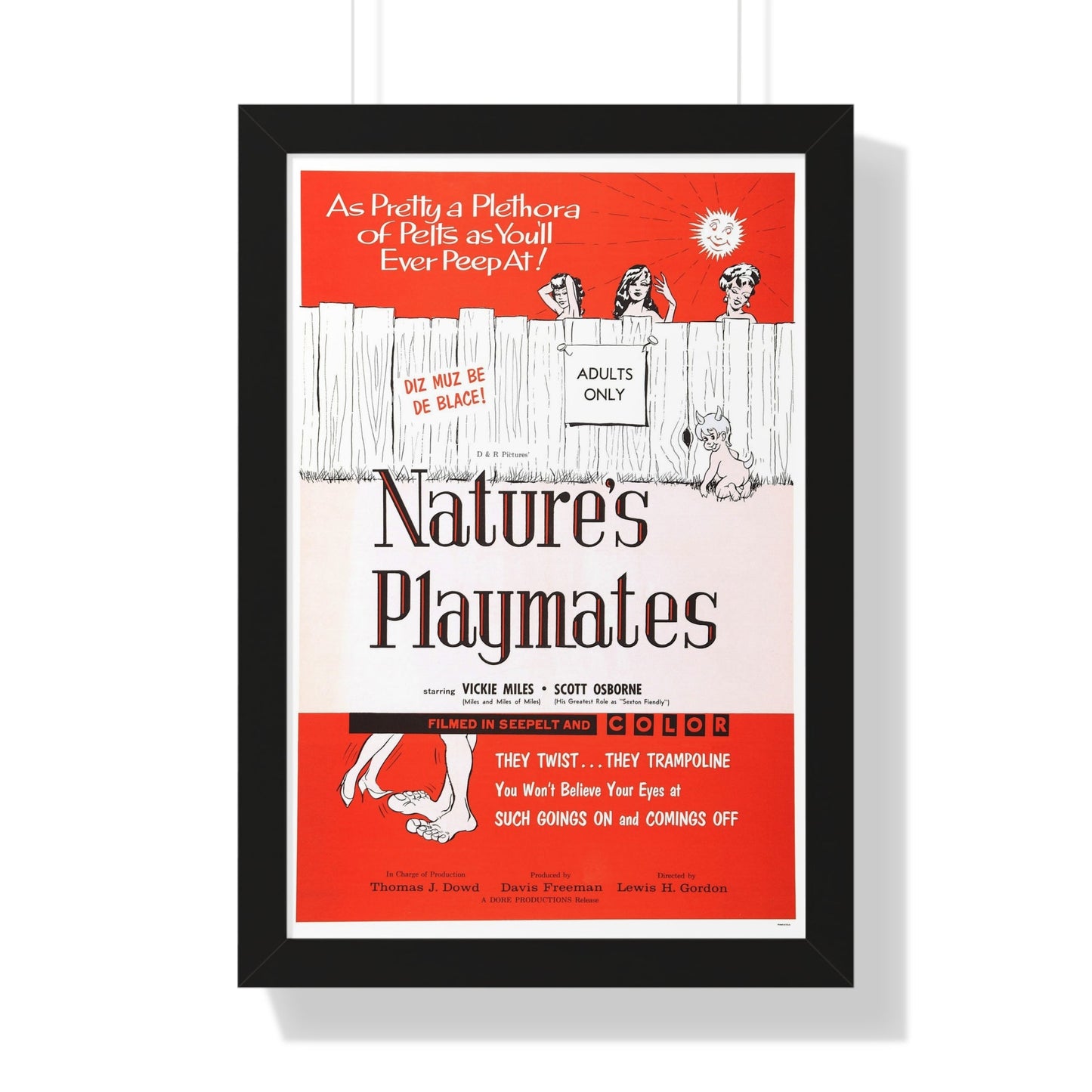 NATURE'S PLAYMATES 1962 - Framed Movie Poster-16″ x 24″-The Sticker Space