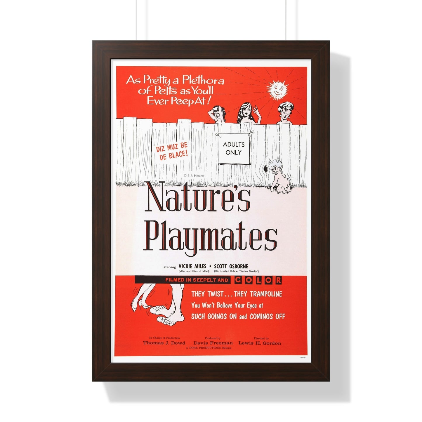 NATURE'S PLAYMATES 1962 - Framed Movie Poster-16″ x 24″-The Sticker Space