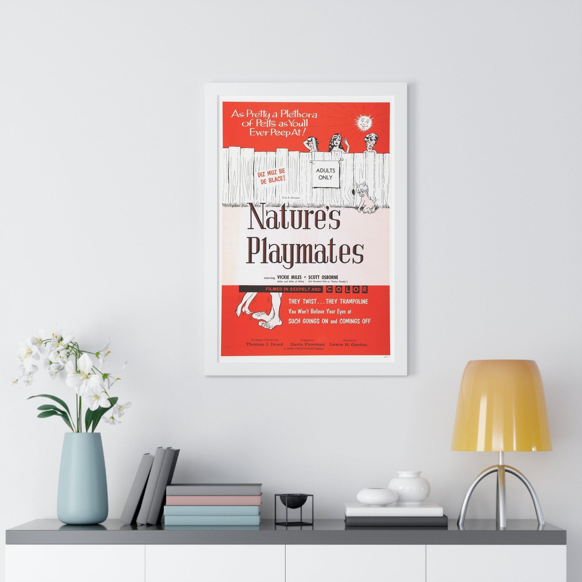 NATURE'S PLAYMATES 1962 - Framed Movie Poster-The Sticker Space