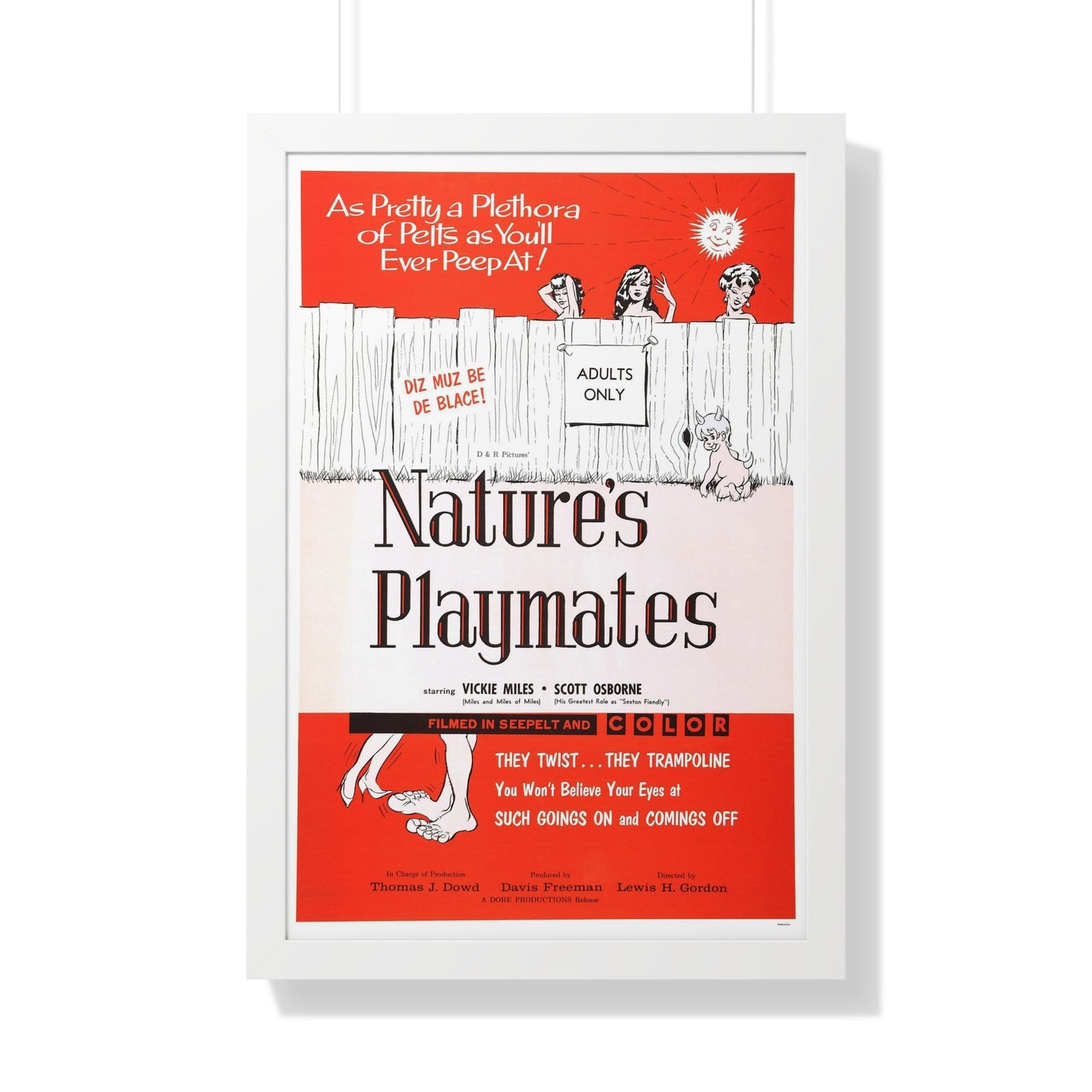 NATURE'S PLAYMATES 1962 - Framed Movie Poster-20" x 30"-The Sticker Space