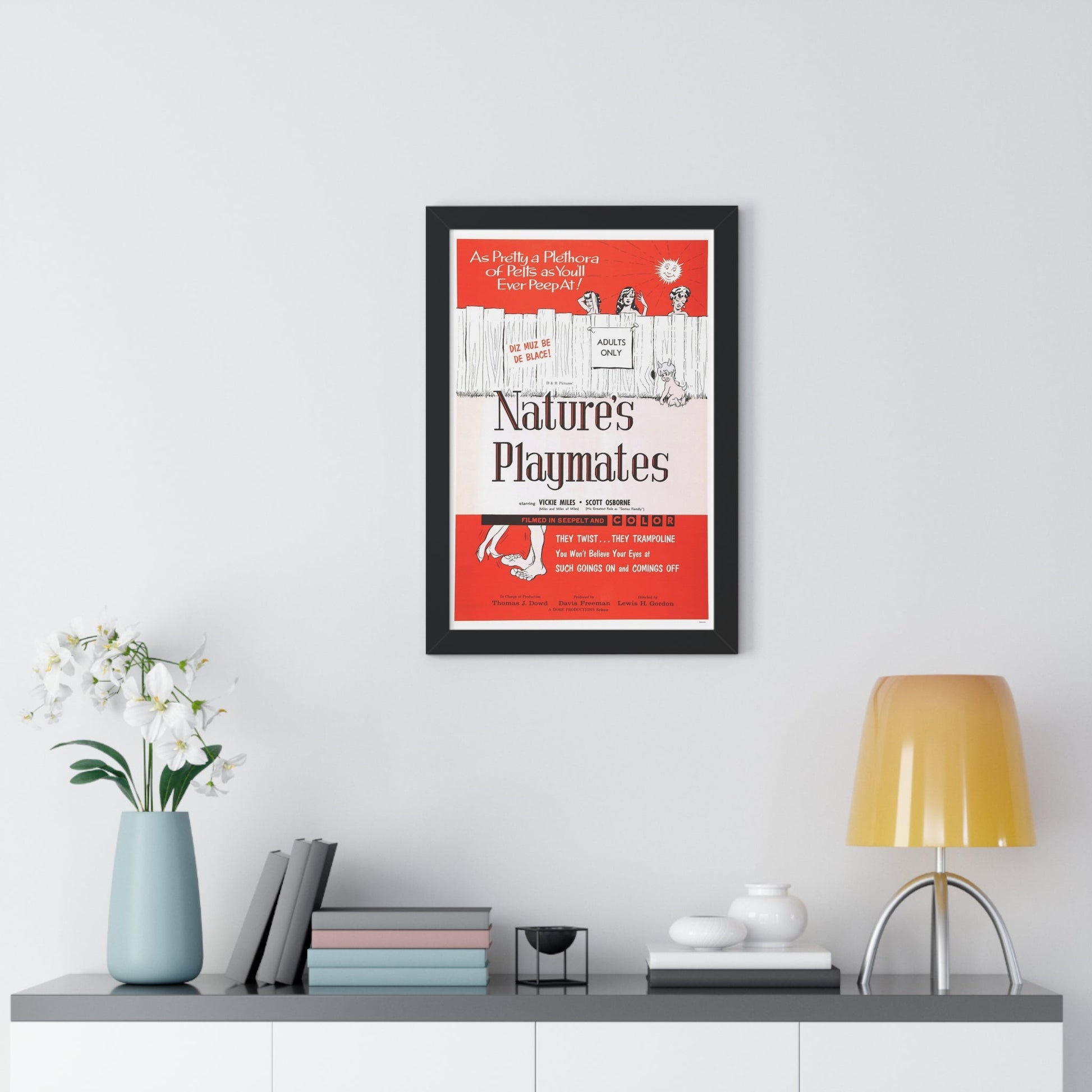 NATURE'S PLAYMATES 1962 - Framed Movie Poster-The Sticker Space