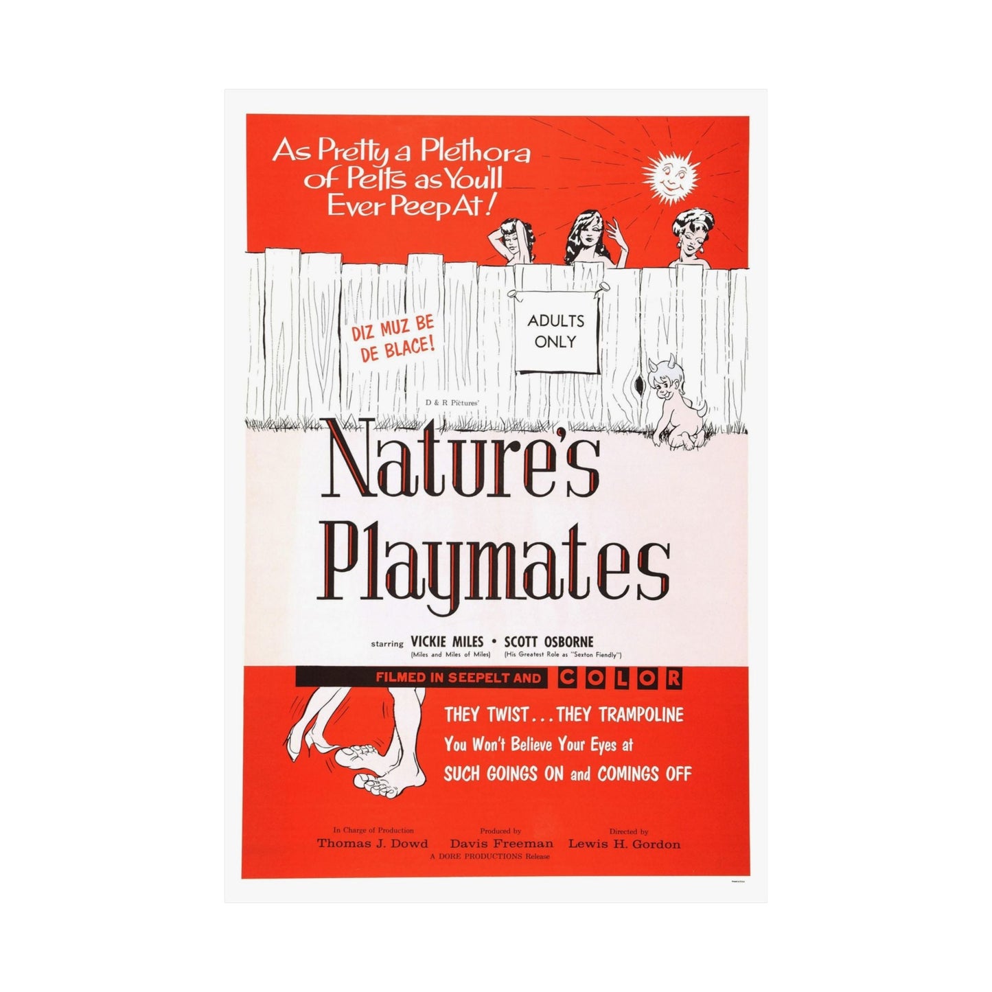 NATURE'S PLAYMATES 1962 - Paper Movie Poster-The Sticker Space