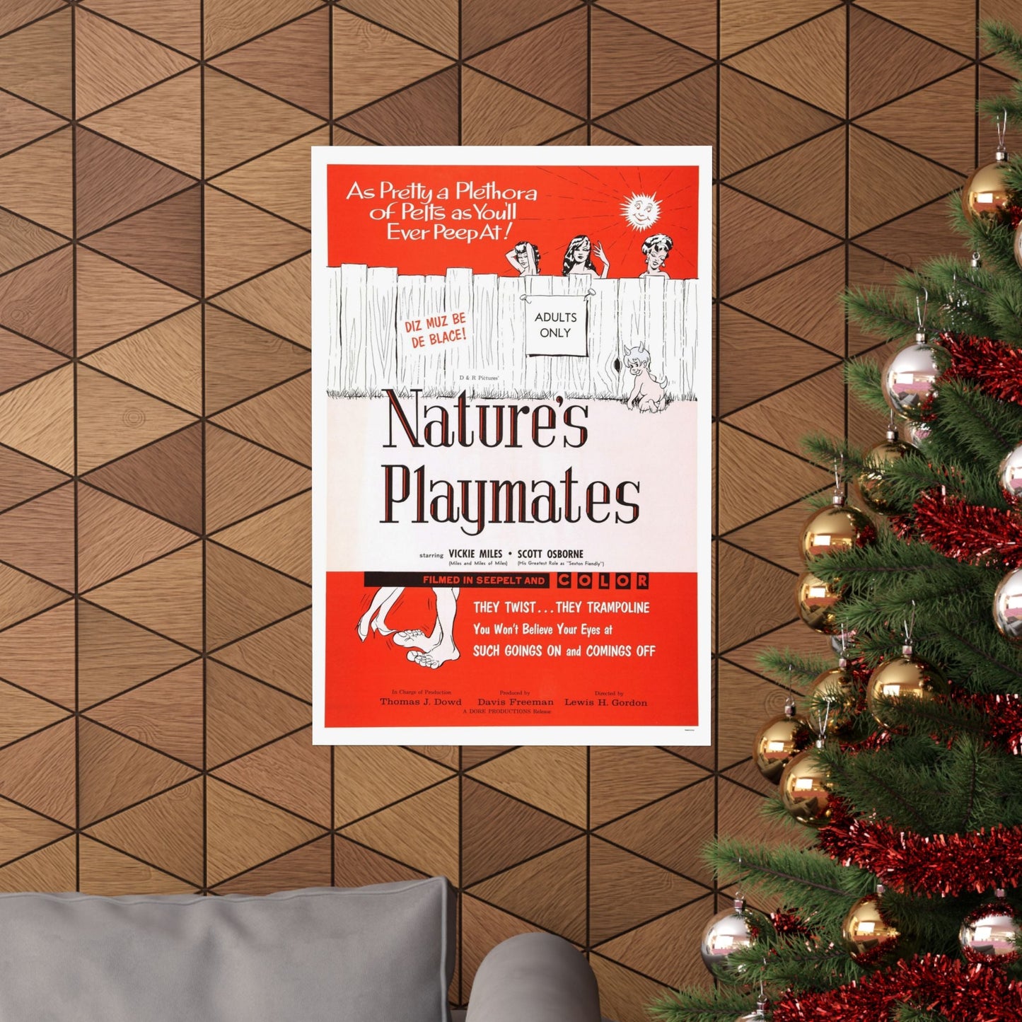 NATURE'S PLAYMATES 1962 - Paper Movie Poster-The Sticker Space