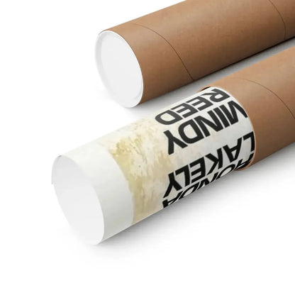 NAUGHTY FRESHMEN 1970 - Paper Movie Poster - The Sticker Space