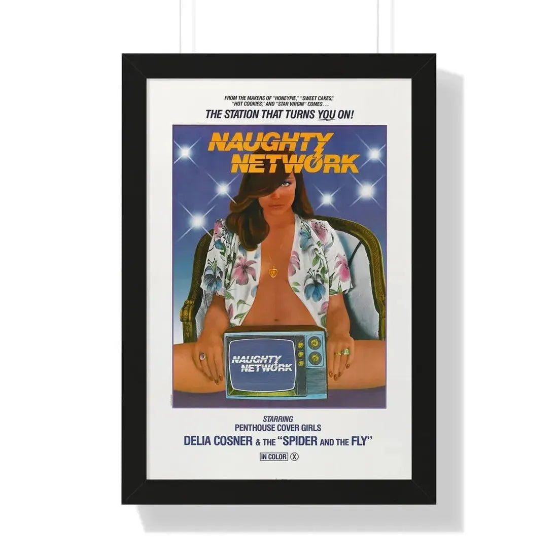 NAUGHTY NETWORK 1981 - Framed Movie Poster - The Sticker Space