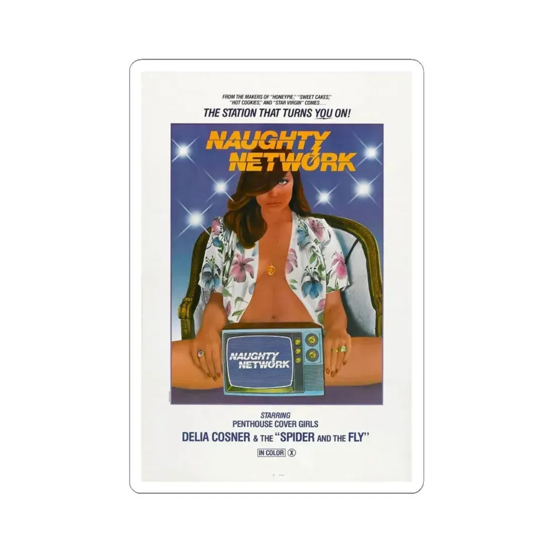 NAUGHTY NETWORK 1981 Movie Poster - STICKER Vinyl Kiss-Cut Decal 6 Inch White - The Sticker Space