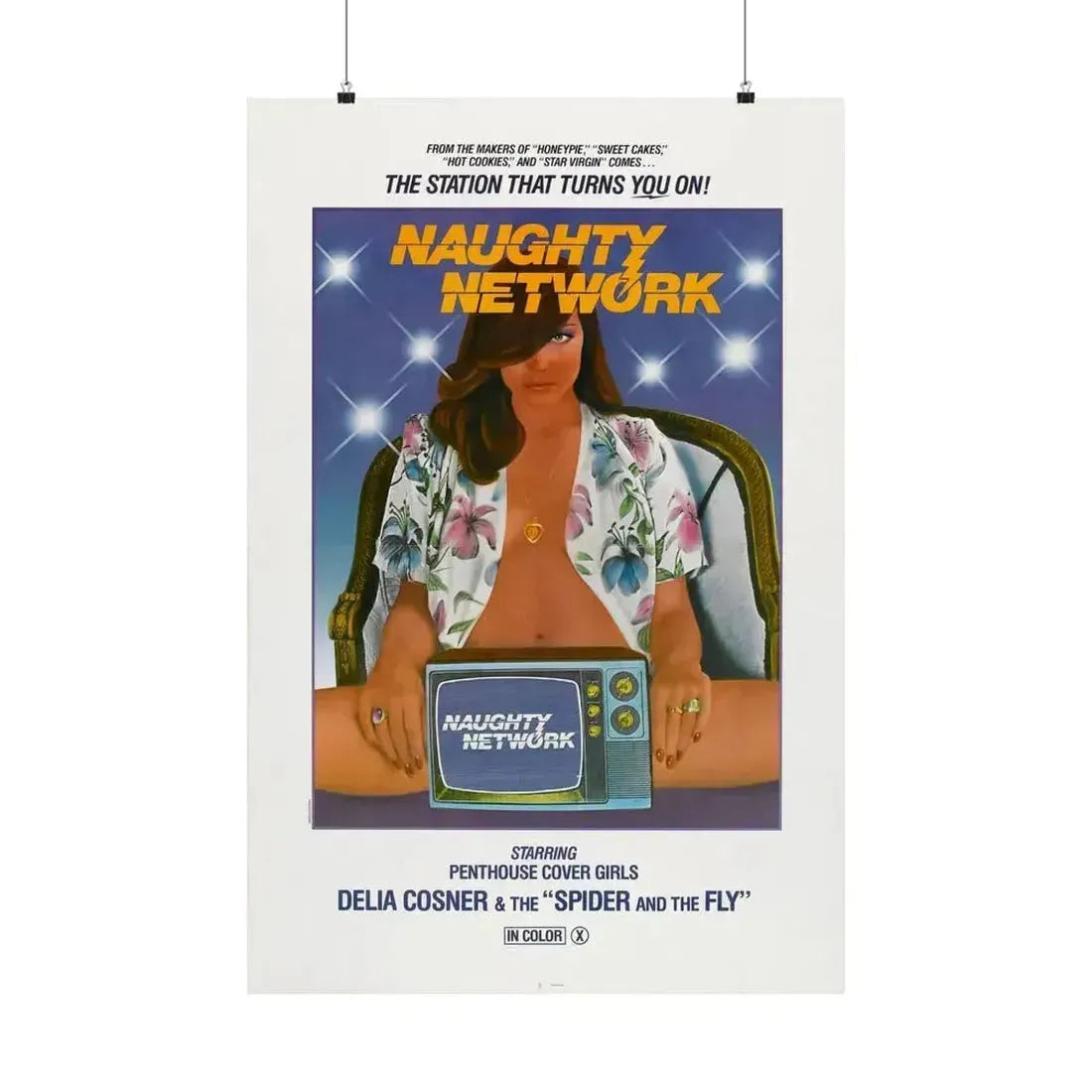 NAUGHTY NETWORK 1981 - Paper Movie Poster 24″ x 36″ Matte - The Sticker Space