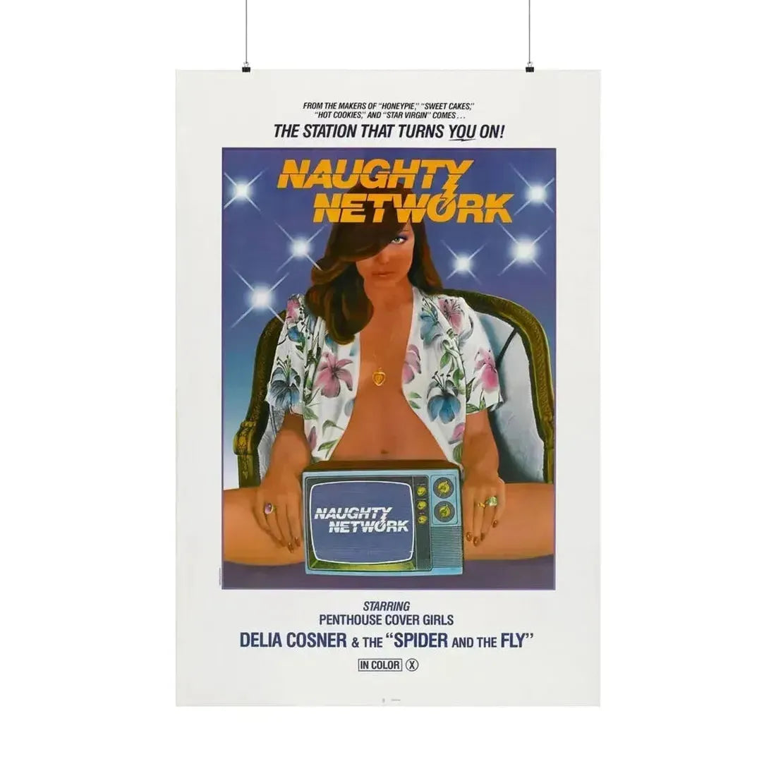 NAUGHTY NETWORK 1981 - Paper Movie Poster 36" x 54" Matte - The Sticker Space