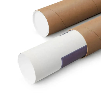 NAUGHTY NETWORK 1981 - Paper Movie Poster - The Sticker Space