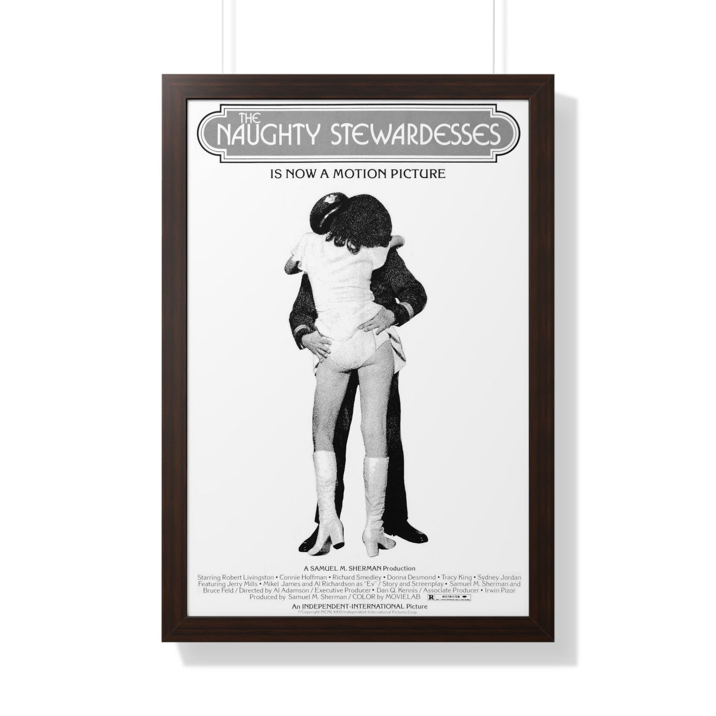 NAUGHTY STEWARDESSES 1975 - Framed Movie Poster-20" x 30"-The Sticker Space