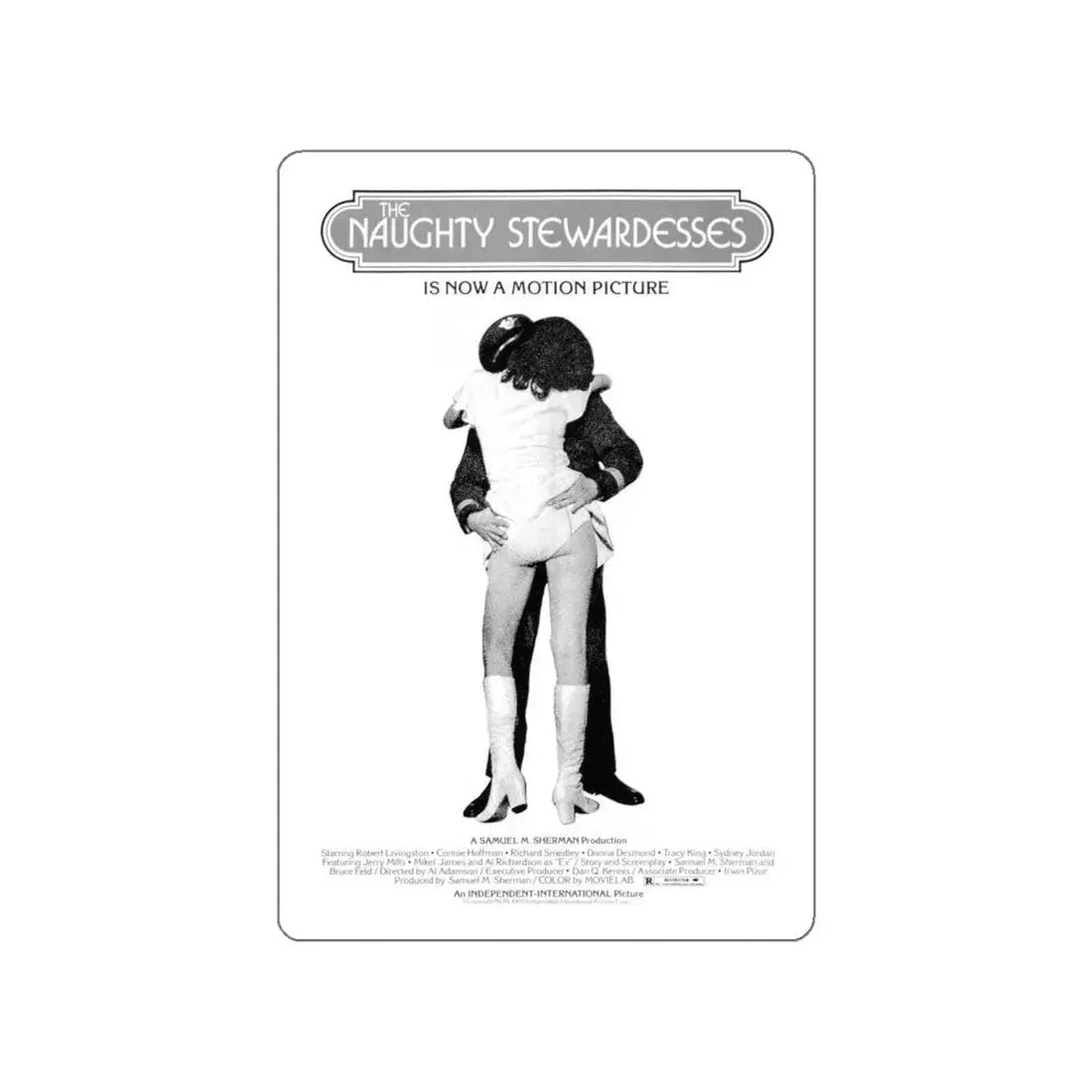 NAUGHTY STEWARDESSES 1975 Movie Poster STICKER Vinyl Die-Cut Decal 6 Inch - The Sticker Space