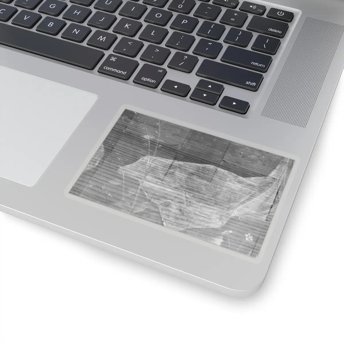 SKU:TSS-STICK-NTHNTW-4X4-1N26Z Sizes:4" × 4" Types:Transparent