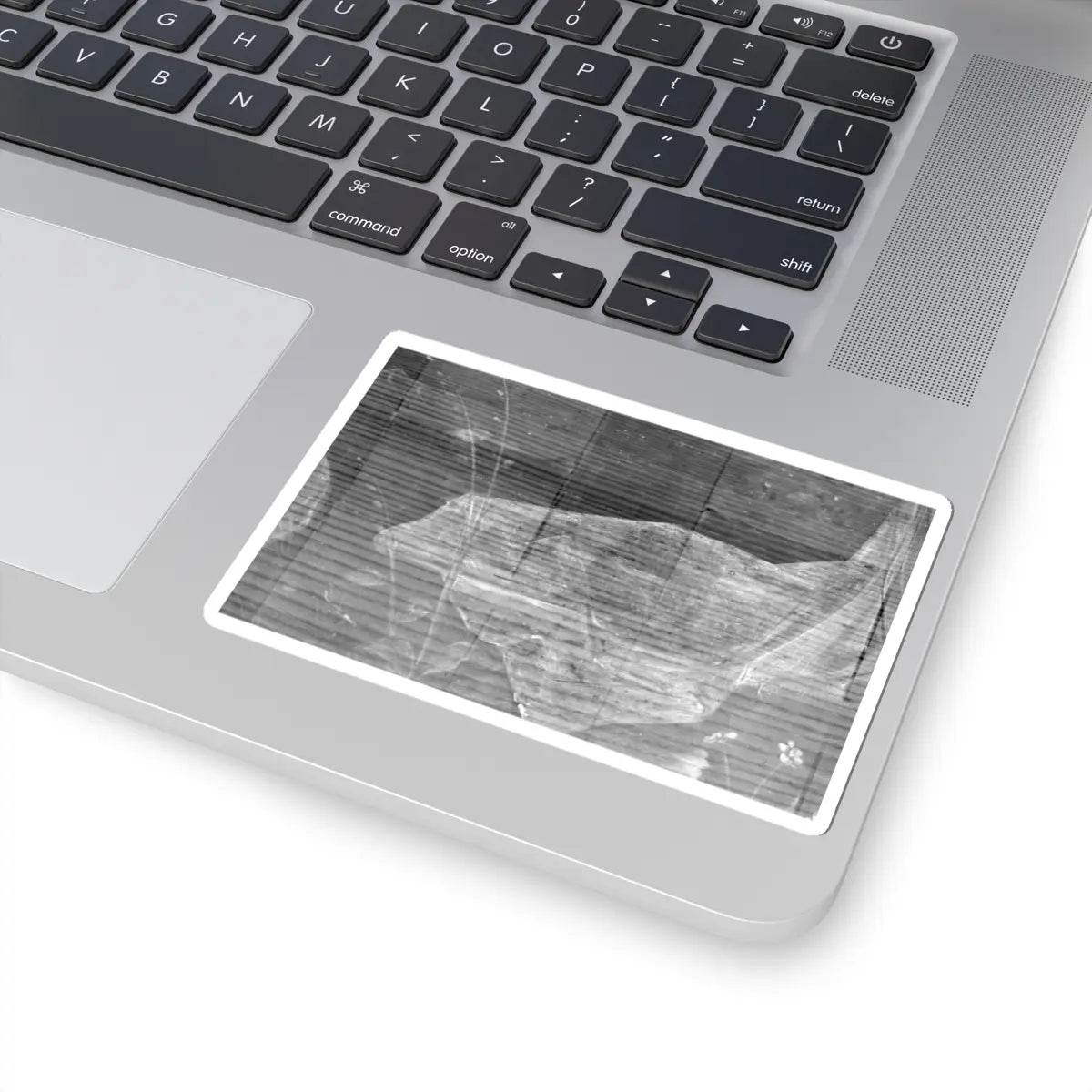 SKU:TSS-STICK-NTHNTW-4X4-21 Sizes:4" × 4" Types:White