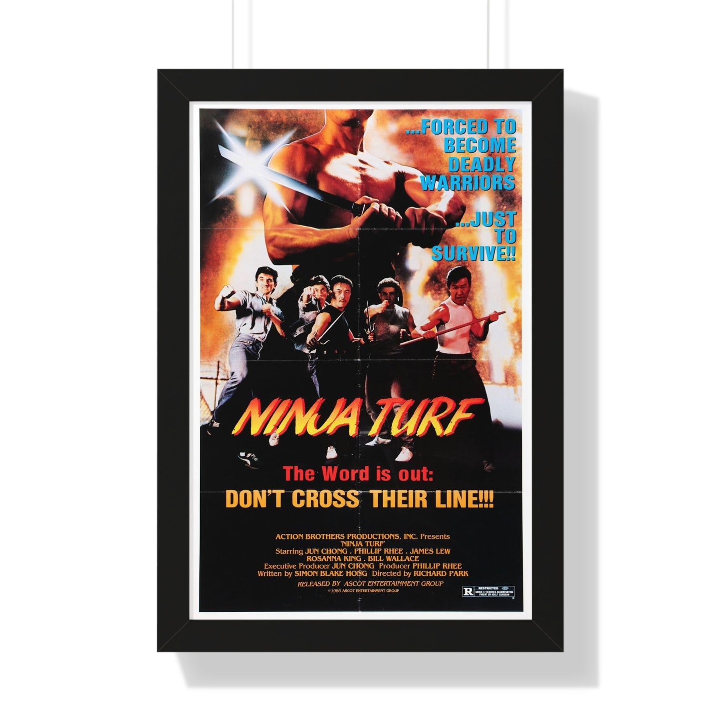 NINJA TURF (LA STREETFIGHTERS) 1985 - Framed Movie Poster-16″ x 24″-The Sticker Space