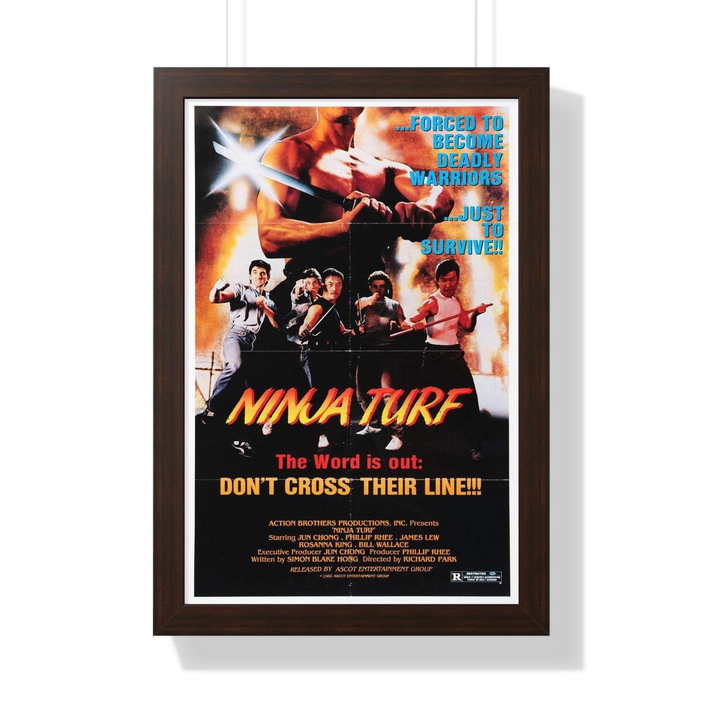 NINJA TURF (LA STREETFIGHTERS) 1985 - Framed Movie Poster-16″ x 24″-The Sticker Space