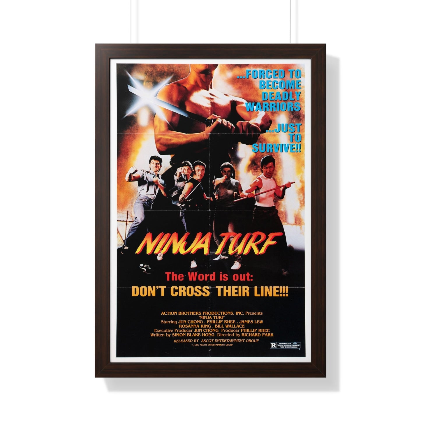 NINJA TURF (LA STREETFIGHTERS) 1985 - Framed Movie Poster-20" x 30"-The Sticker Space