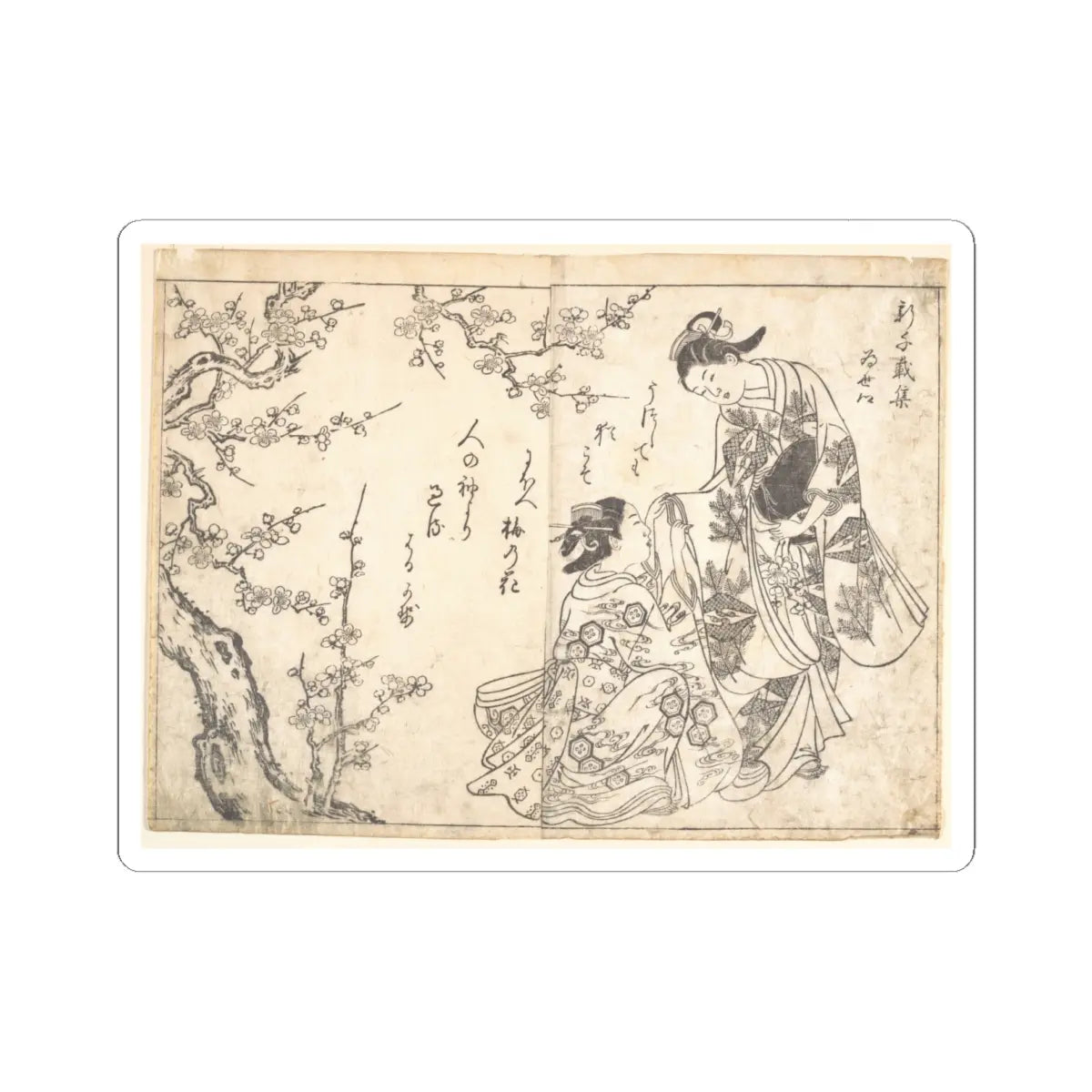 SKU:TSS-STICK-NSHSKN-6X6-8 Sizes:6" × 6" Types:White