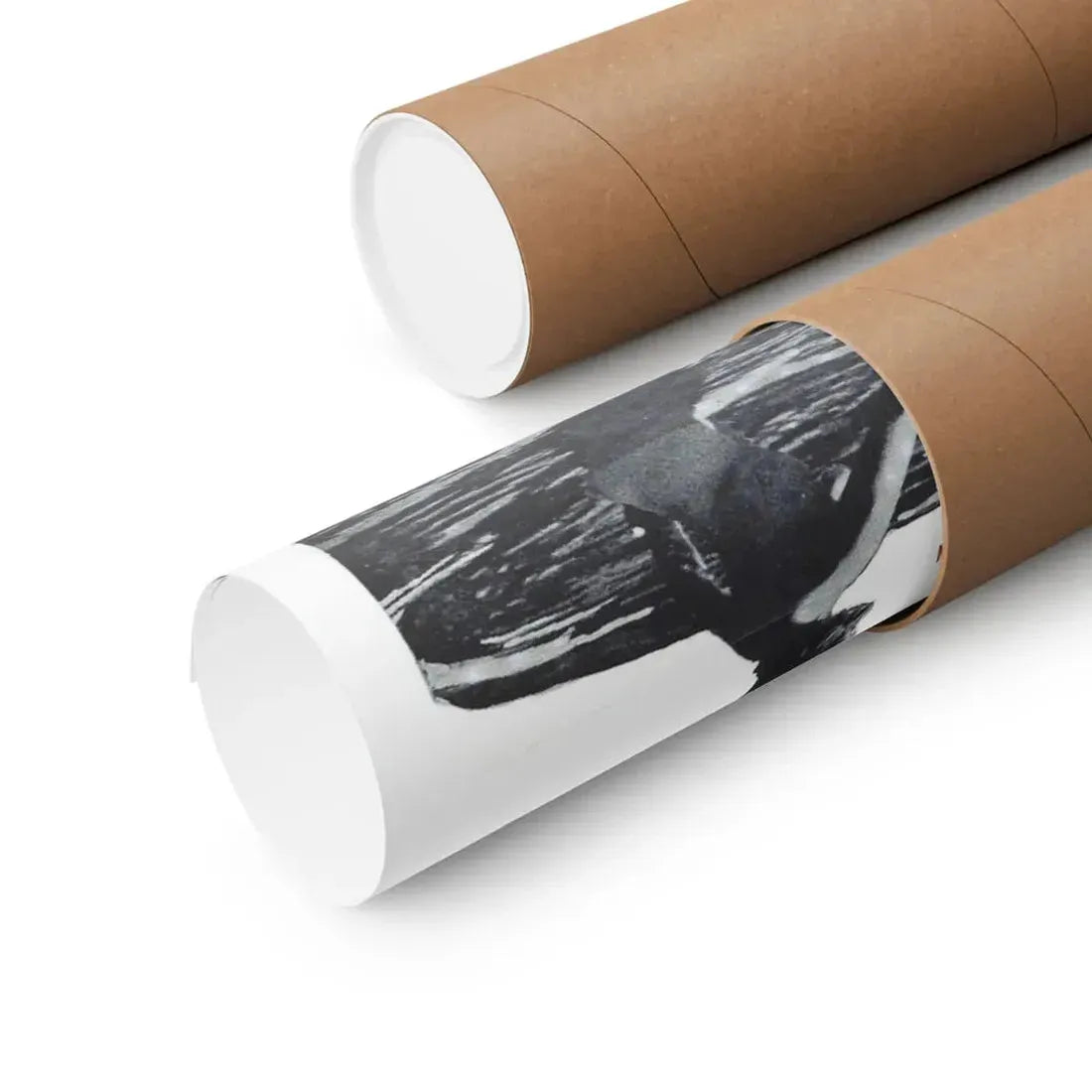 NO MORALS 1955 - Paper Movie Poster - The Sticker Space