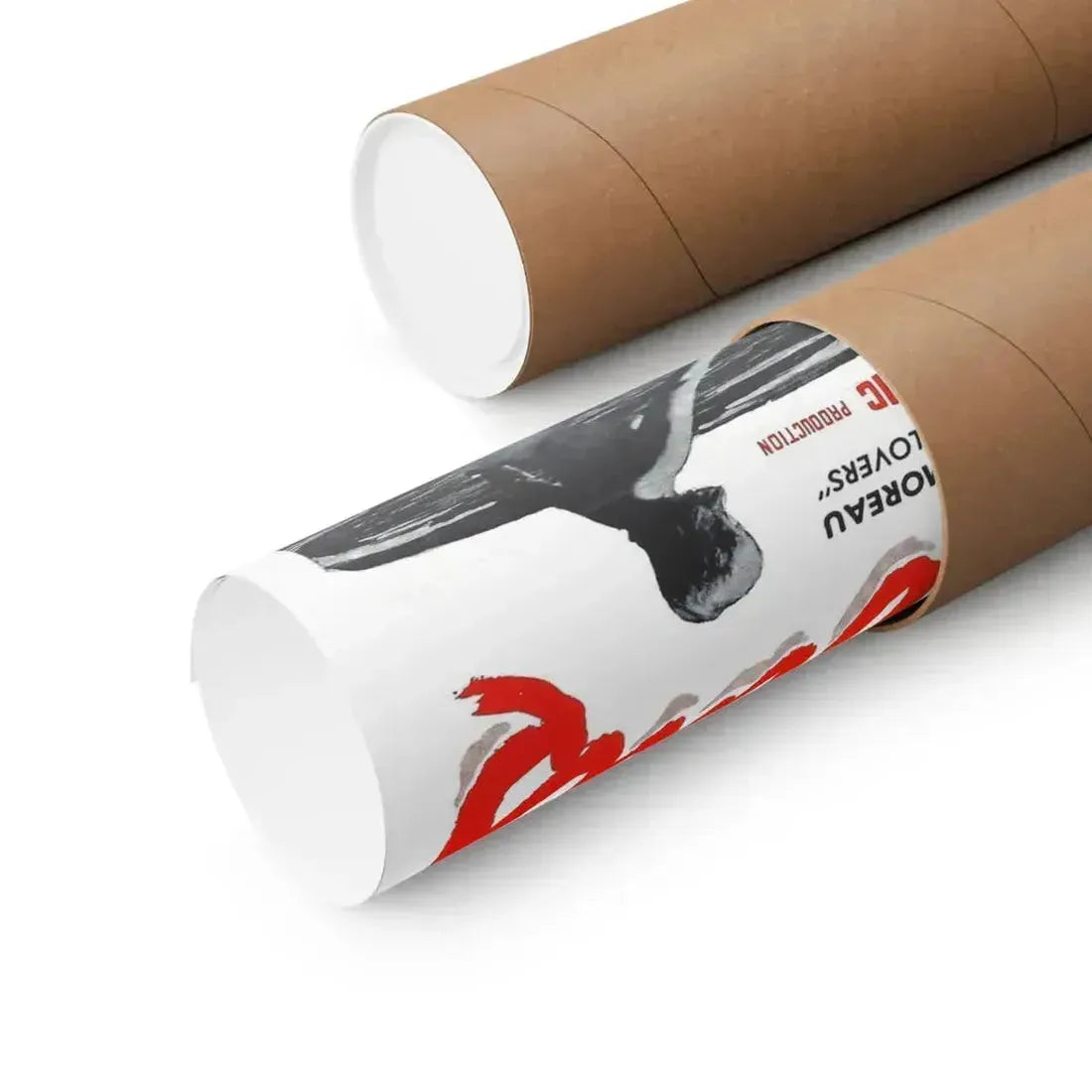 NO MORALS 1955 - Paper Movie Poster - The Sticker Space