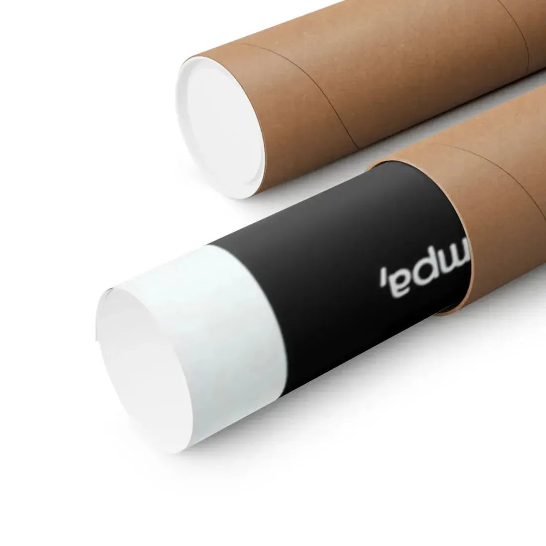 NOCTURNA 1976 - Paper Movie Poster - The Sticker Space