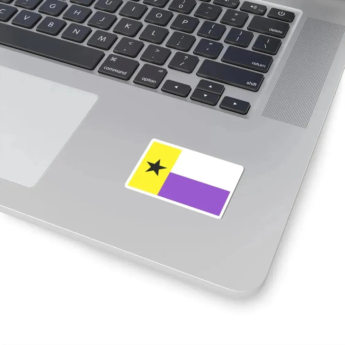 Nonbinary Texas flag (United States) STICKER Vinyl Kiss-Cut Decal - The Sticker Space