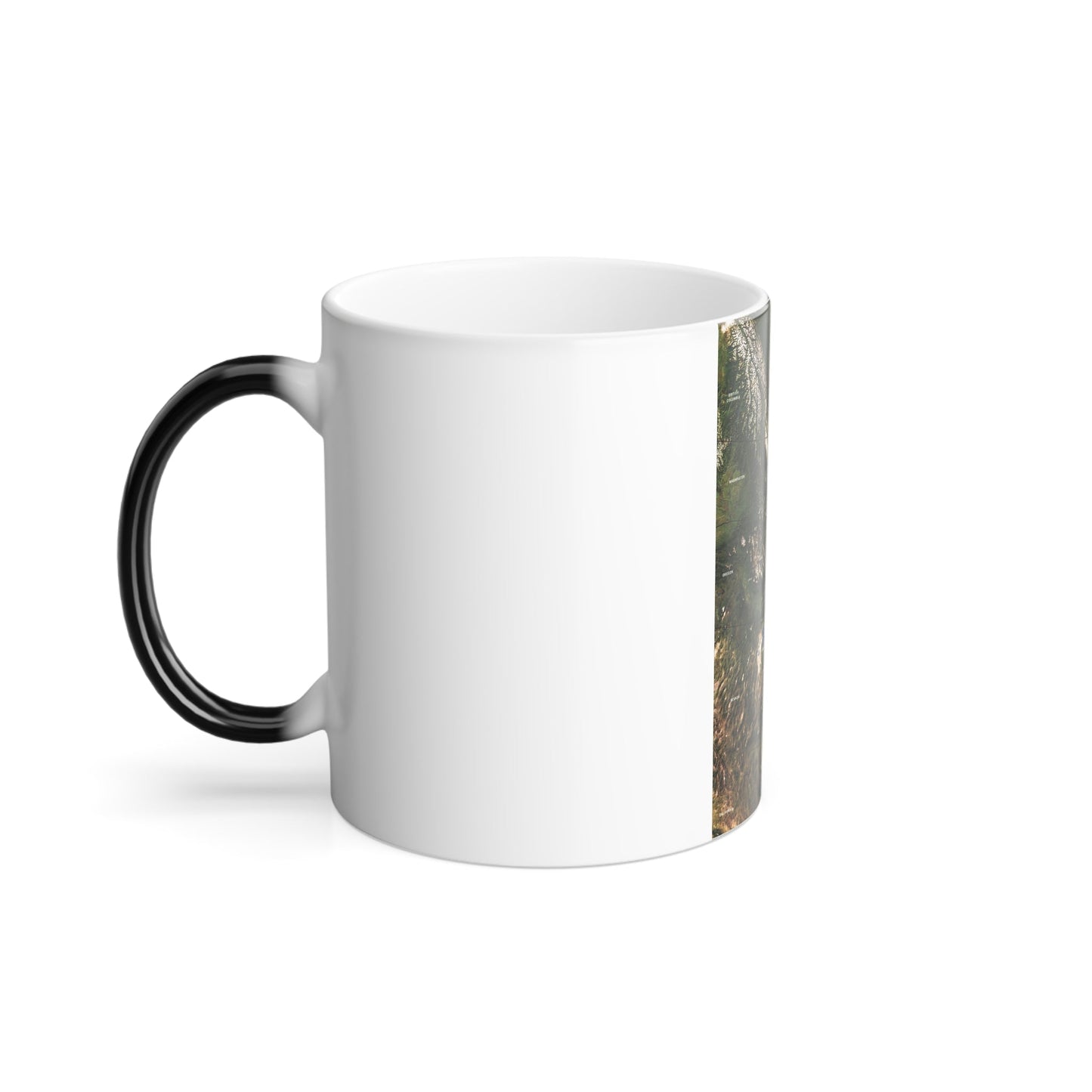 North America - Above the Rockies Through Digital Eyes (1995) (Map) Color Changing Mug 11oz-11oz-The Sticker Space