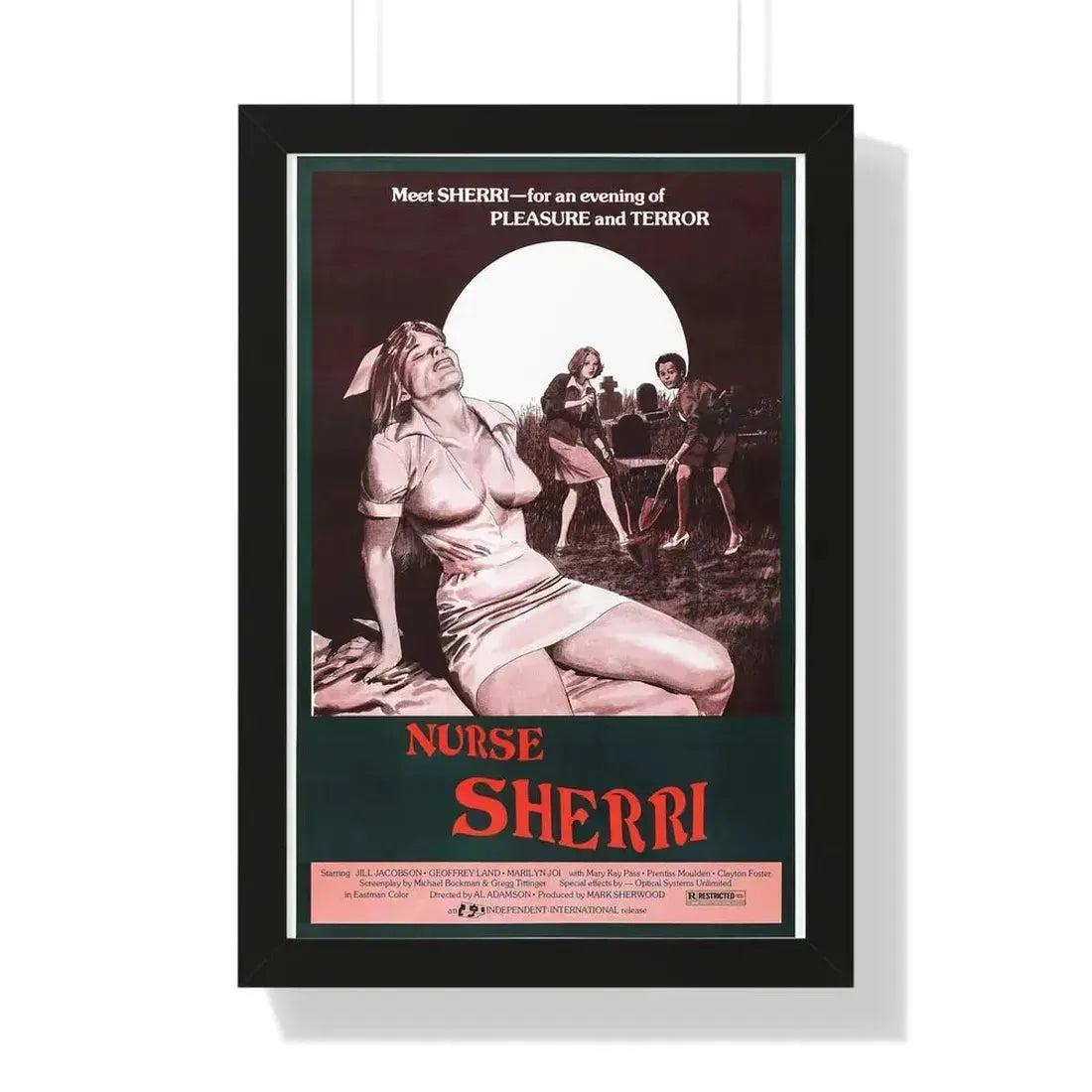 NURSE SHERRI 1977 - Framed Movie Poster 16″ x 24″ Black - The Sticker Space